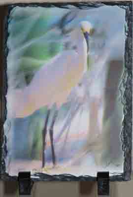 Egret in the Storm made with sublimation printing